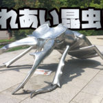 石川県ふれあい昆虫館