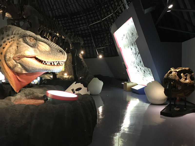 白山恐竜パーク白峰内部