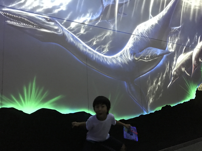 白山恐竜パーク白峰トンネル