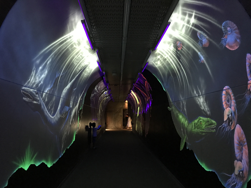 白山恐竜パーク白峰トンネル